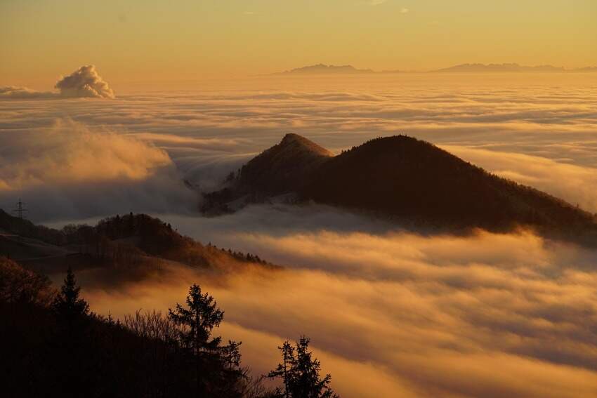 沂水在线(梦幻西游沂水雪山适合5开吗)