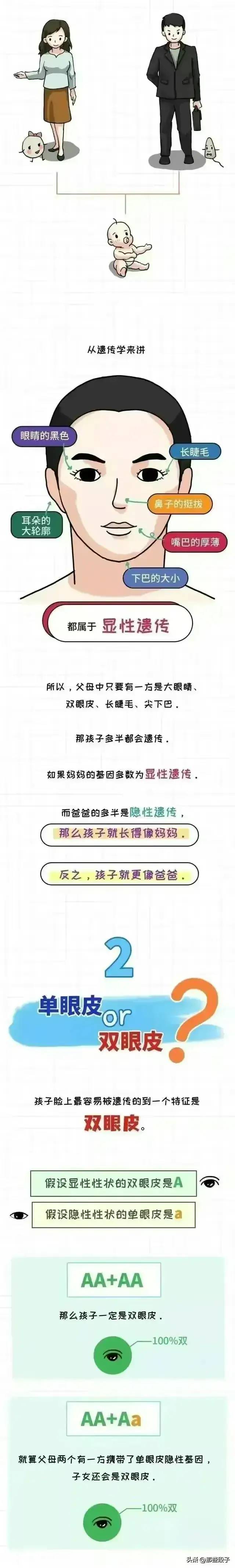 这6个特征大概率会遗传，快来看看孩子继承了你的哪些优良基因吧