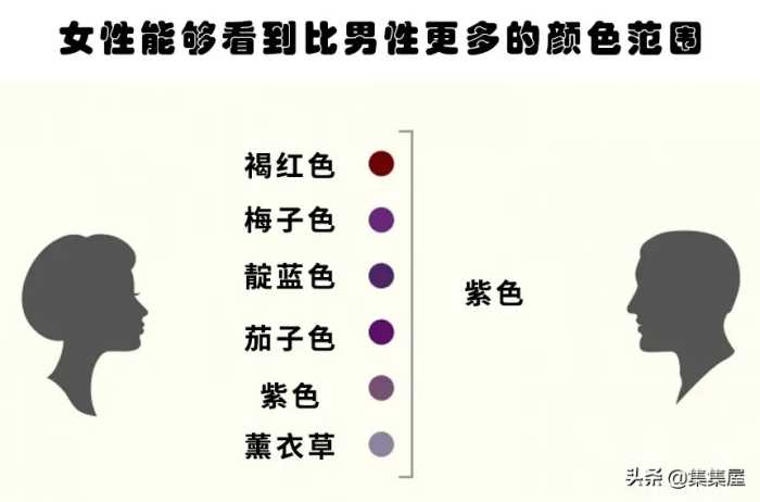 你或许并没听过的男人和女人之间所存在的10个区别