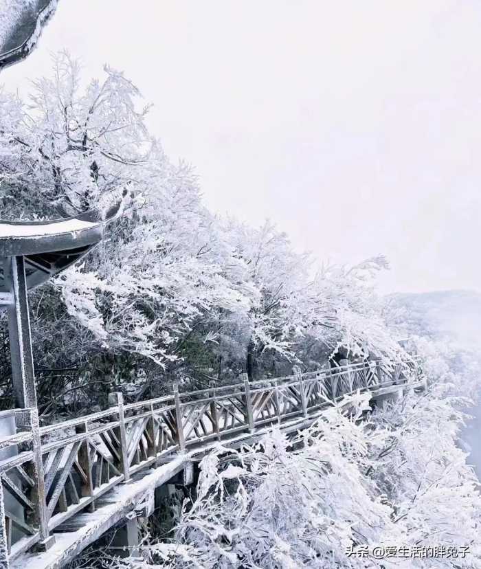 长沙一场大雪的宣传直接秒杀湖南文旅，网友直呼湖南文旅真的好命