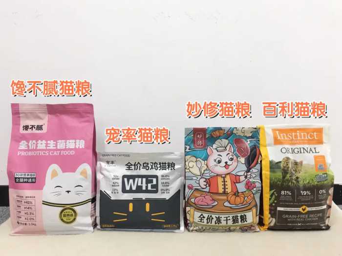 猫咪“舔你”，不只是因为喜欢你，还有这些原因！