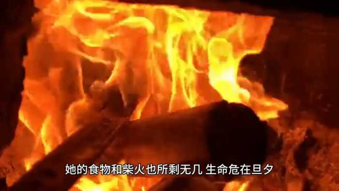 成语故事、寒冬腊月、只农历12月天气最冷的时候