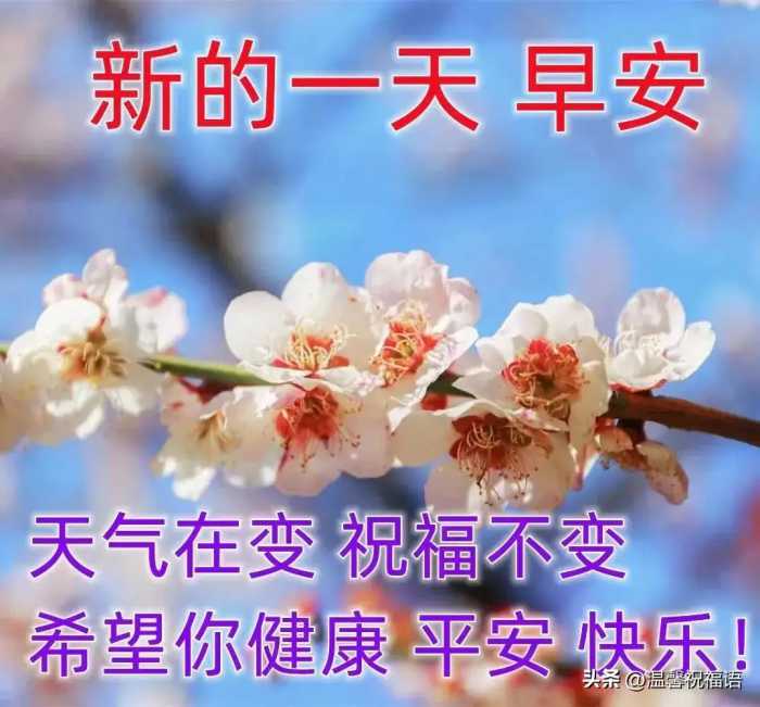 2023年10月9日周一早上好 群发亲友早安暖心祝福图片带字问候语录