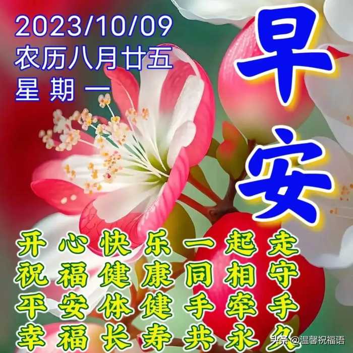 2023年10月9日周一早上好 群发亲友早安暖心祝福图片带字问候语录