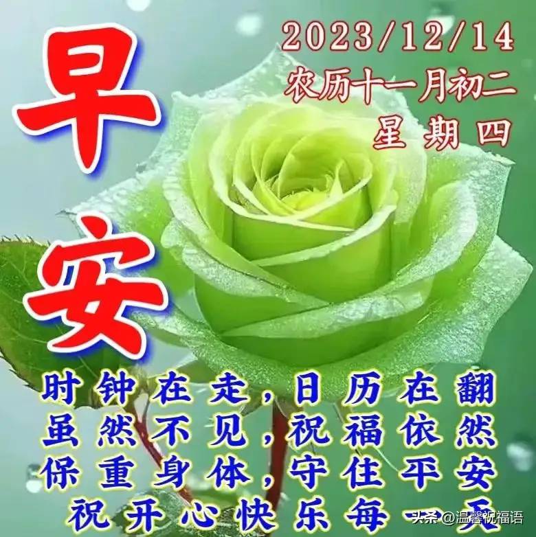 2023年12月14日周四早上好，群发早安温馨祝福图片带字问候语录