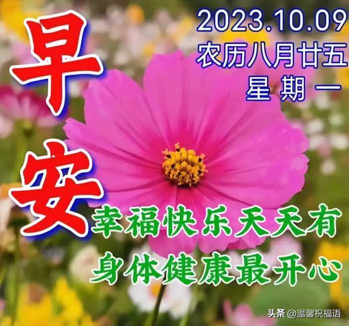 2023年10月9日周一早上好 群发亲友早安暖心祝福图片带字问候语录