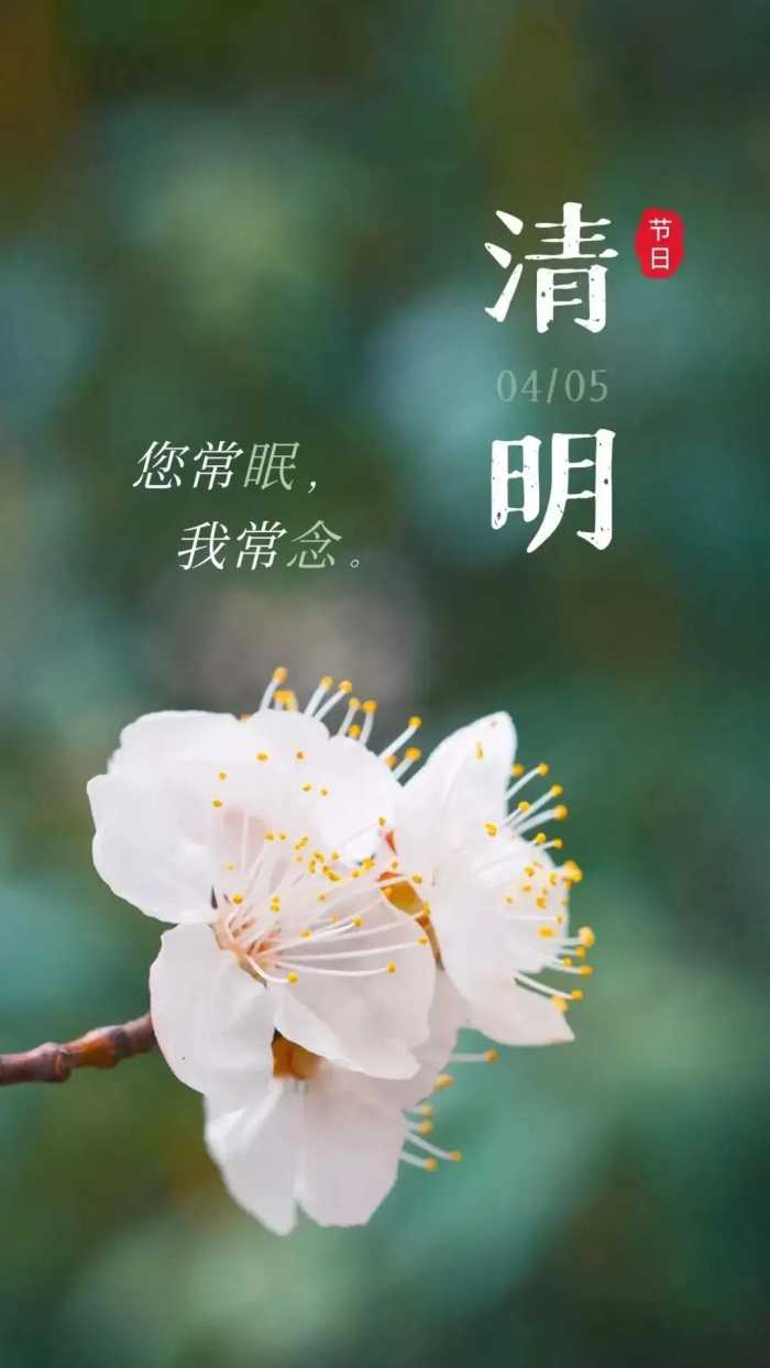 清明节伤感走心文案扫墓祭祀句子说说朋友圈高清壁纸图片